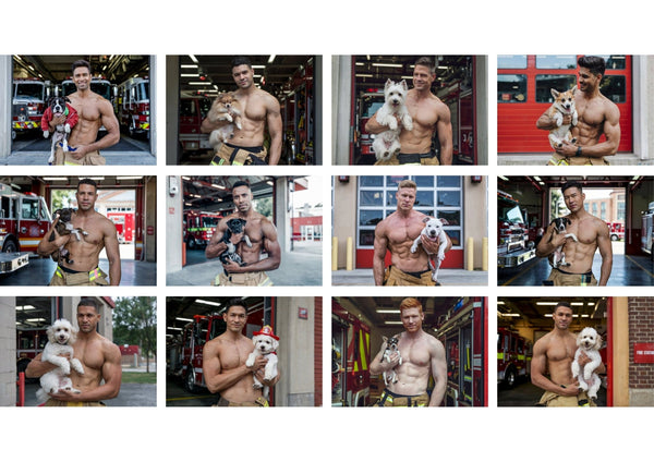 2026 Blazing Hearts & Furry Friends Calendar showing firefighters with cute dogs in various poses.