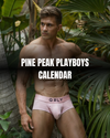Pine Peak Playboys 2026 Calendar โ Sexy Muscular Hunks (Non-Nude)