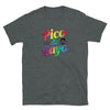 Funny Cinco De Mayo LGBT Shirt | Pico De Gayo | Funny Gay Mexican LBTQ Gift with colorful text design on grey shirt.