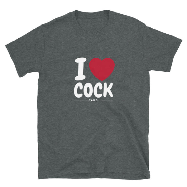 Funny Gay Shirt with playful text design on a dark grey t-shirt.