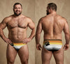 Gay bear pride underwear with bear brotherhood flag stripes and paw print design, men’s briefs front and back view