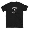 Grade A Beef Flag Shirt PrideT shirt for Gay Bear Men Community, black, 100% cotton, funny gay shirt.